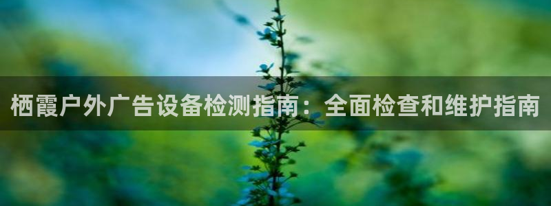 杏宇平台代理怎么样啊