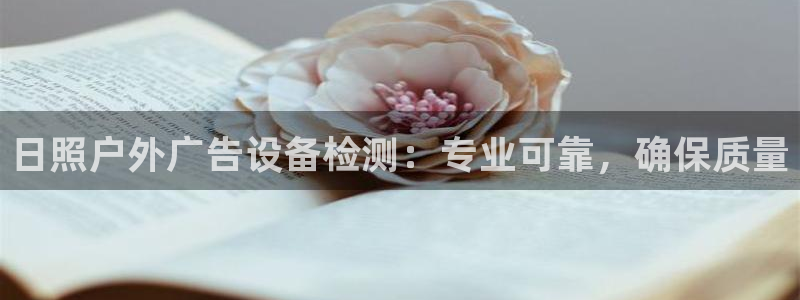 杏宇官方平台官网