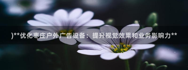 杏宇平台代理多少钱一次