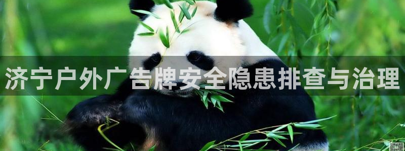 杏宇平台代理