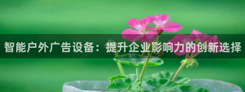 杏宇平台代理多少钱一次