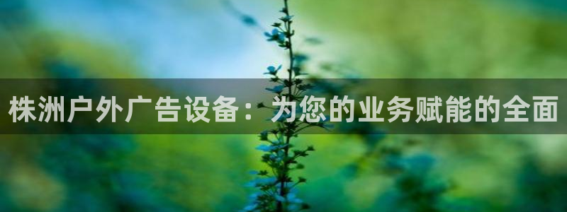 杏宇平台登录方法