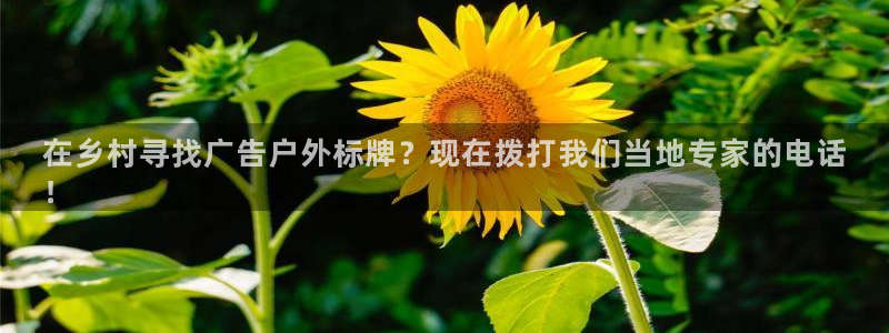 杏宇平台招商怎么样