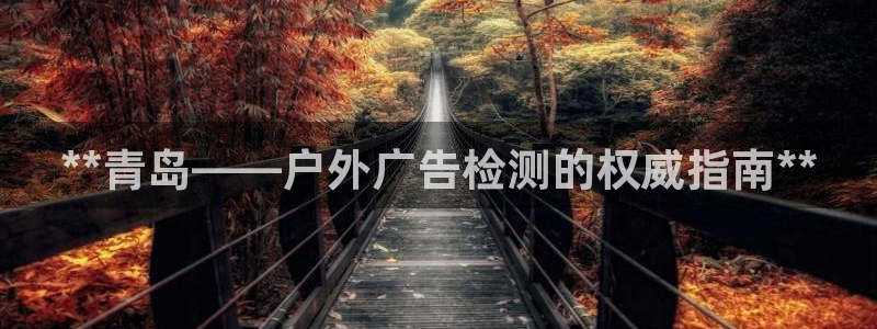 杏宇平台怎么样知乎：**青岛——户外广告检测的权威指南**