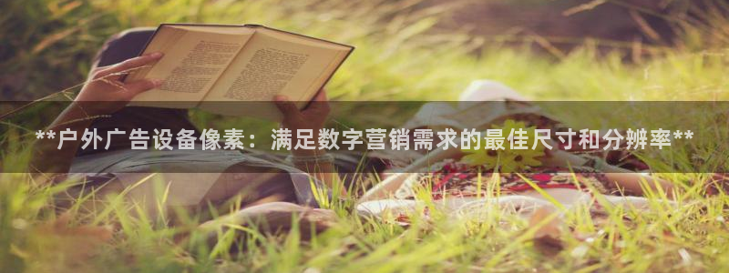杏宇官方平台官网：**户外广告设备像素：满足数字营销需求的最佳尺寸和分辨率**
