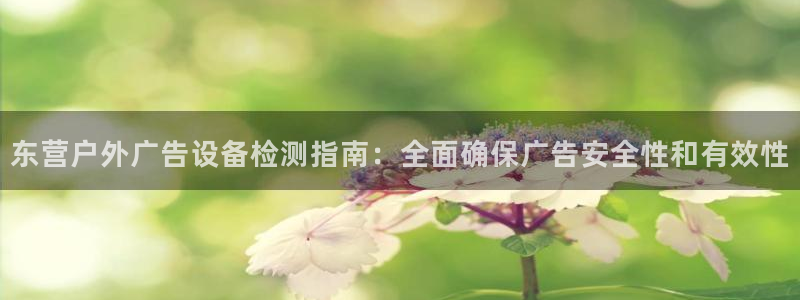 杏宇平台是什么：东营户外广告设备检测指南：全面确保广告安全性和有效性