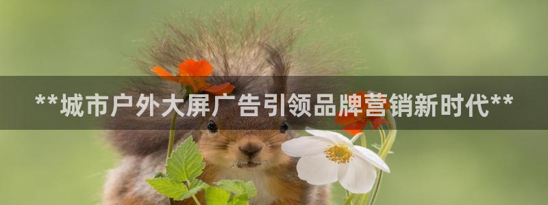 杏宇代理注册：**城市户外大屏广告引领品牌营销新时代**