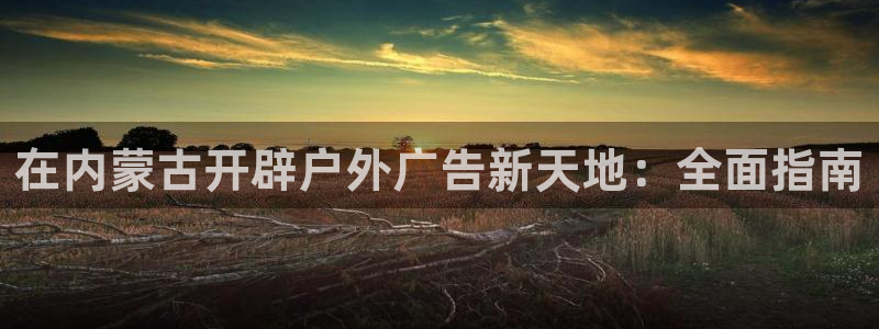 杏宇平台代理多少钱一个：在内蒙古开辟户外广告新天地：全面指南
