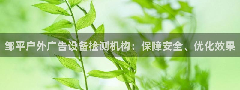 杏宇平台登录步骤：邹平户外广告设备检测机构：保障安全、优化效果