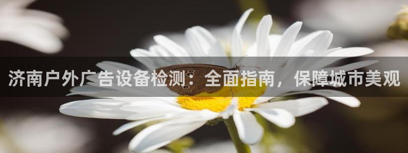 杏宇平台总代理是谁：济南户外广告设备检测：全面指南，保障城市美观