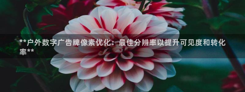杏宇平台怎么样：**户外数字广告牌像素优化：最佳分辨率以提升可见度和转化
率**