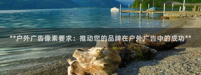 杏宇平台登录步骤是什么：**户外广告像素要求：推动您的品牌在户外广告中的成功**