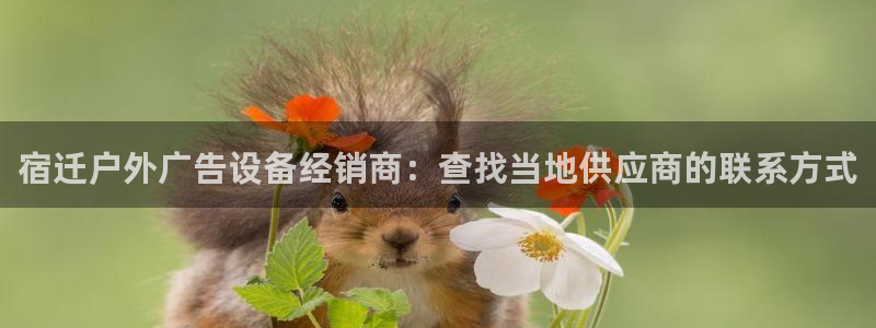 杏宇平台提现为什么这么久呢：宿迁户外广告设备经销商：查找当地供应商的联系方式