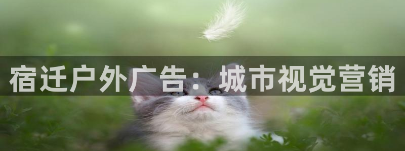 杏宇平台提现为什么这么久呢：宿迁户外广告：城市视觉营销