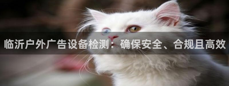 杏宇平台代理怎么样：临沂户外广告设备检测：确保安全、合规且高效