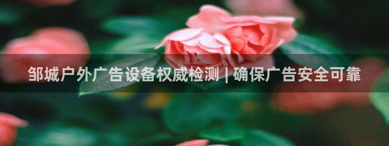 杏宇平台好吗：邹城户外广告设备权威检测 | 确保广告安全可靠