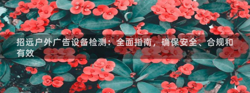 杏宇平台官网注册：招远户外广告设备检测：全面指南，确保安全、合规和
有效