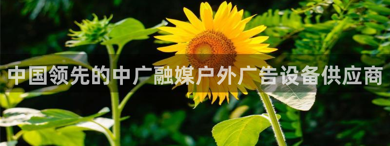 杏宇平台好吗：中国领先的中广融媒户外广告设备供应商