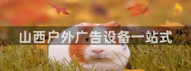 杏宇平台提现为什么这么久呢：山西户外广告设备一站式
