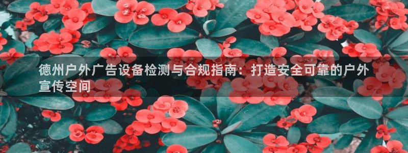 杏宇平台代理多少钱一次：德州户外广告设备检测与合规指南：打造安全可靠的户外
宣传空间