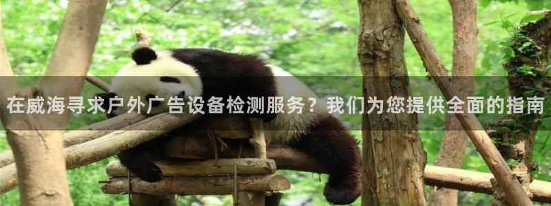 杏宇平台代理怎么赚钱：在威海寻求户外广告设备检测服务？我们为您提供全面的指南
