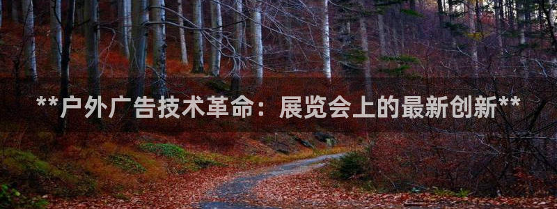 杏宇平台代理：**户外广告技术革命：展览会上的最新创新**