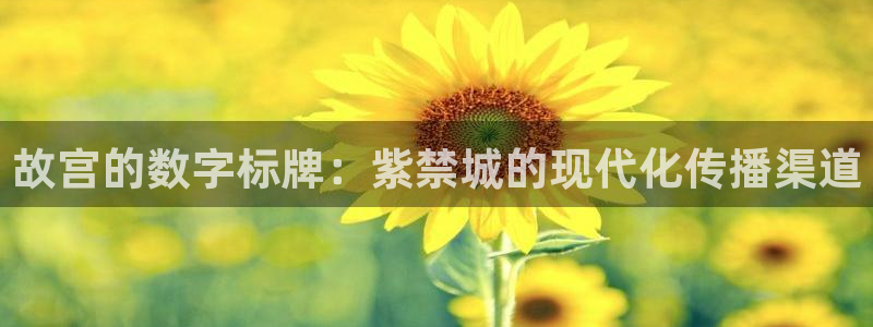 杏宇平台注册地址：故宫的数字标牌：紫禁城的现代化传播渠道