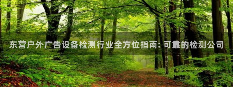 杏宇平台登陆：东营户外广告设备检测行业全方位指南: 可靠的检测公司