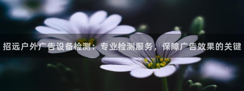 杏宇平台代理怎么样：招远户外广告设备检测：专业检测服务，保障广告效果的关键
