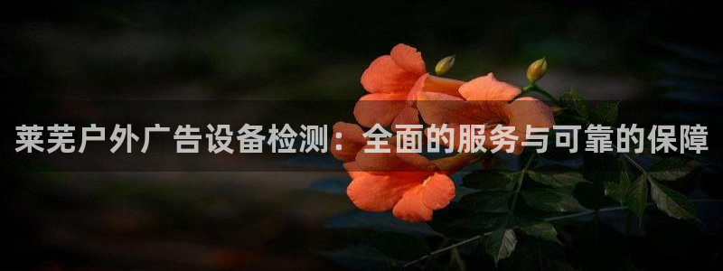 杏宇平台主管：莱芜户外广告设备检测：全面的服务与可靠的保障