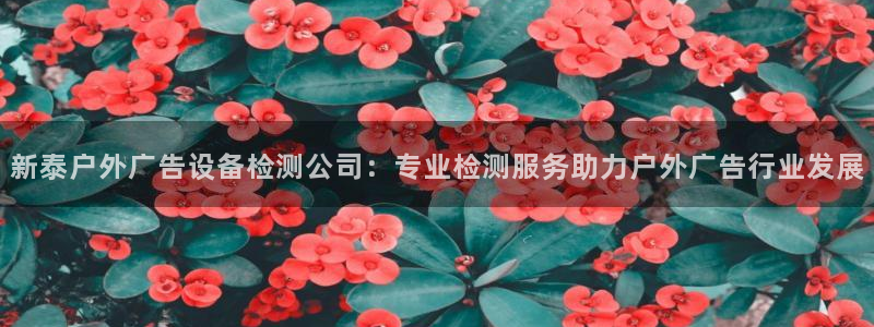 杏宇平台主管