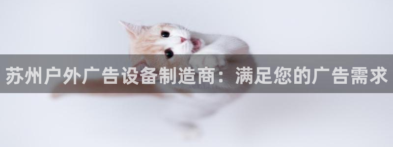 杏宇平台总代理