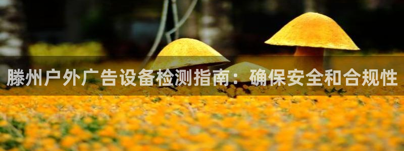 杏宇平台代理怎么样啊：滕州户外广告设备检测指南：确保安全和合规性