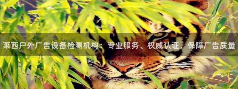 杏宇平台代理：莱西户外广告设备检测机构：专业服务、权威认证，保障广告质量