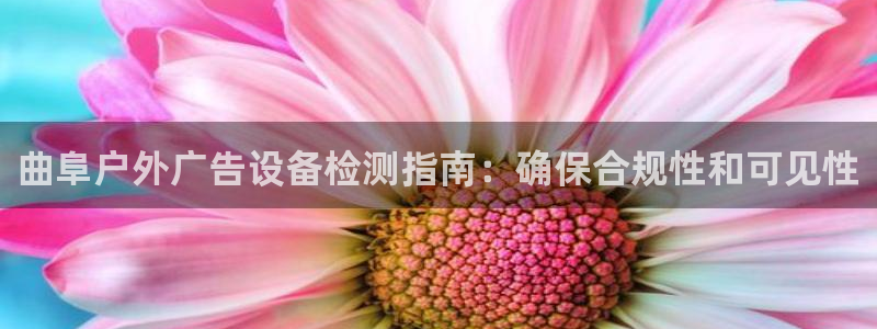 杏宇平台代理怎么样：曲阜户外广告设备检测指南：确保合规性和可见性