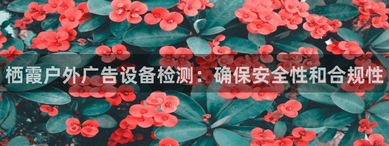 杏宇平台测速链接：栖霞户外广告设备检测：确保安全性和合规性
