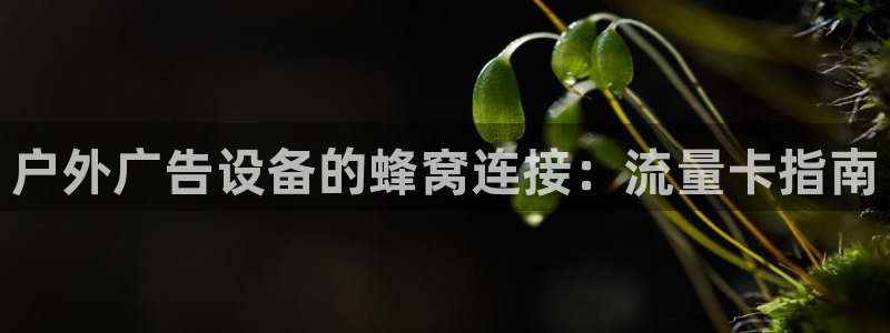 杏宇平台注册地址：户外广告设备的蜂窝连接：流量卡指南