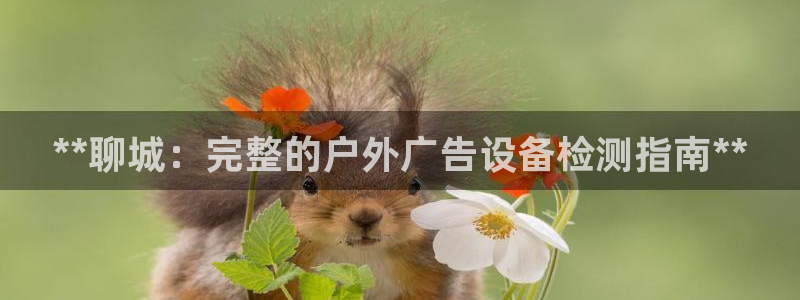 杏宇平台测速链接：**聊城：完整的户外广告设备检测指南**