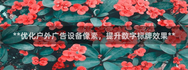 杏宇官方平台官网下载：**优化户外广告设备像素，提升数字标牌效果**