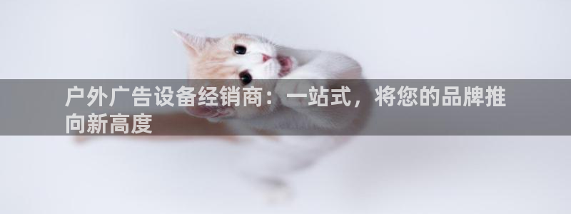 杏宇平台登录步骤图：户外广告设备经销商：一站式，将您的品牌推
向新高度