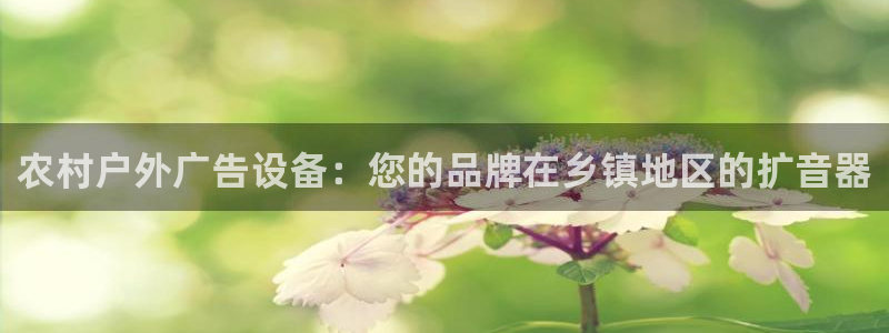 杏宇平台好吗：农村户外广告设备：您的品牌在乡镇地区的扩音器