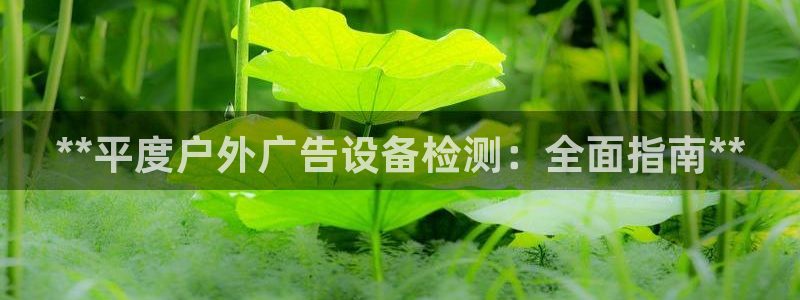 杏宇平台官网注册：**平度户外广告设备检测：全面指南**