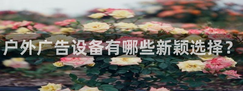 杏宇平台代理怎么样赚钱：户外广告设备有哪些新颖选择？