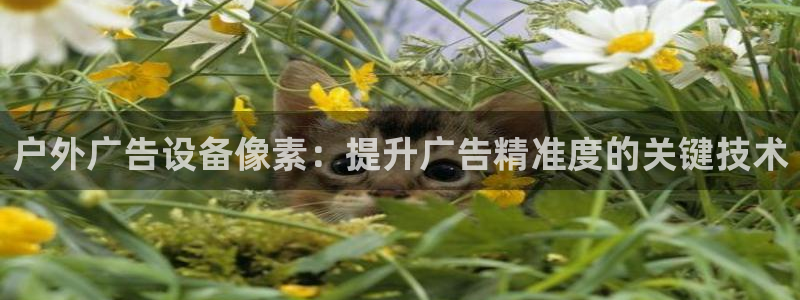 杏宇平台代理怎么赚钱快：户外广告设备像素：提升广告精准度的关键技术