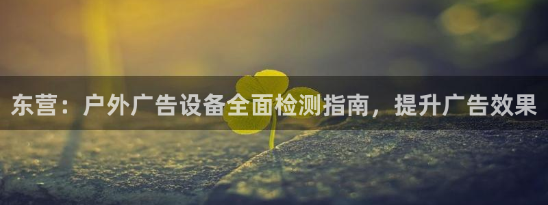杏宇平台登录方法：东营：户外广告设备全面检测指南，提升广告效果