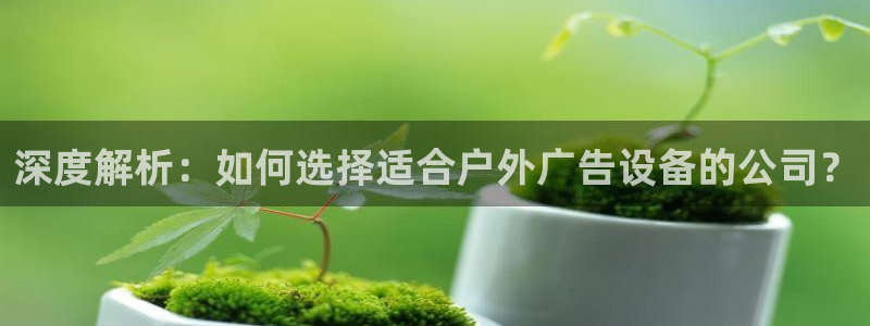杏宇平台代理怎么样可靠吗：深度解析：如何选择适合户外广告设备的公司？