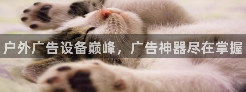 杏宇平台代理多少钱一个月：户外广告设备巅峰，广告神器尽在掌握