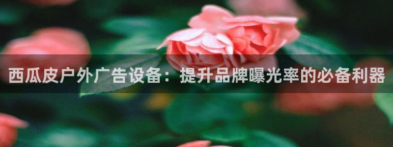 杏宇平台是什么：西瓜皮户外广告设备：提升品牌曝光率的必备利器