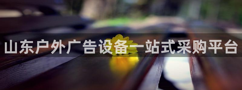 杏宇平台代理多少钱一个月：山东户外广告设备一站式采购平台