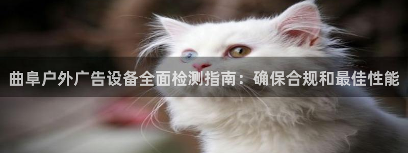 杏宇平台招商怎么样